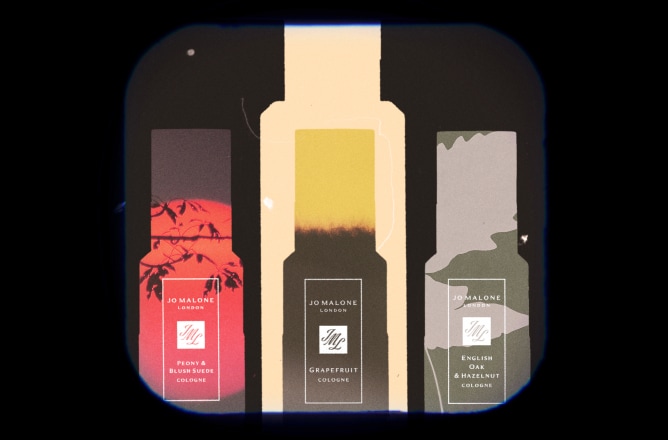 Descubra as camadas da fragrância